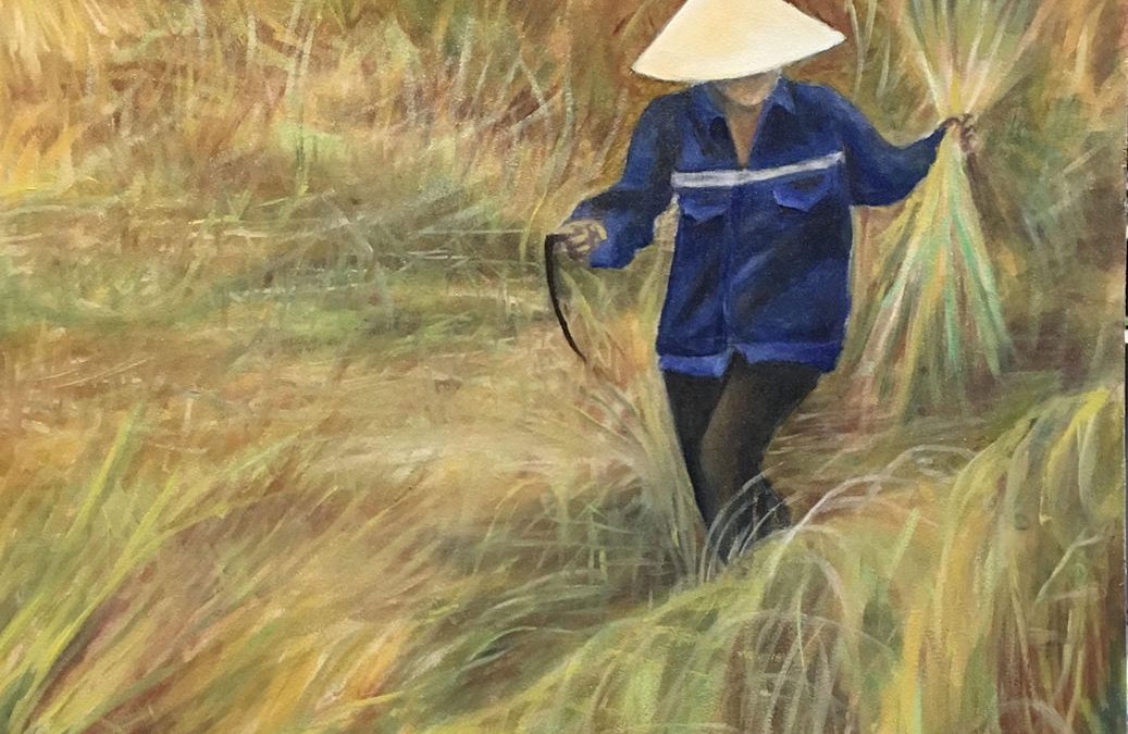 Vietnamese Rice Farmer