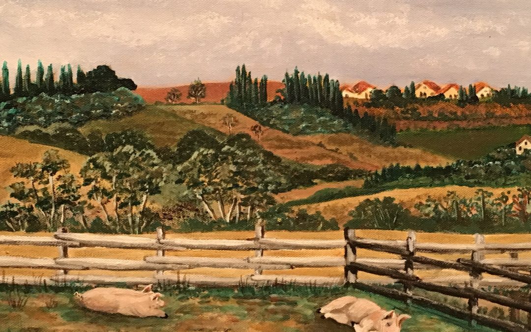 Farm in Umbria