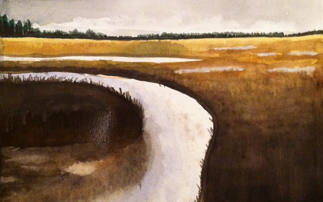 Peaceful Marsh
