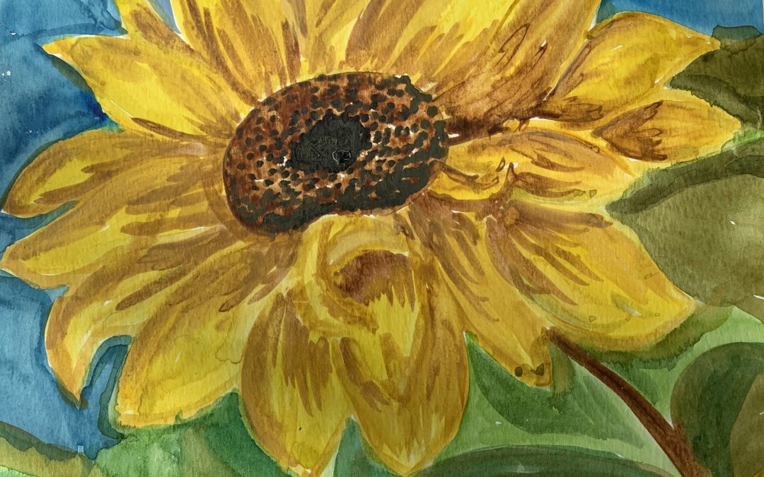 Sunflower in Bloom